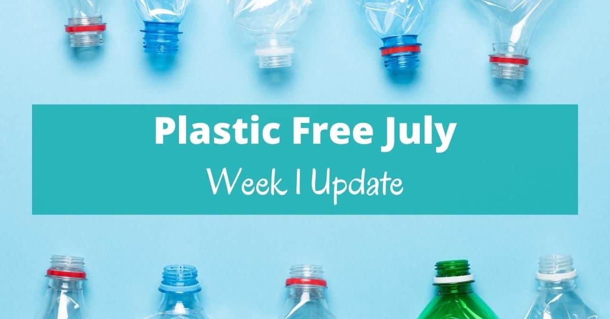 https://boomerecocrusader.com/wp-content/uploads/2020/12/Plastic-Free-July-Week-1-update.jpg