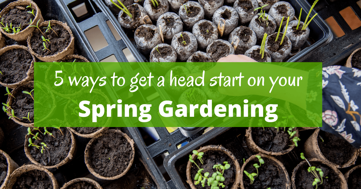 5 ways to get a head start on spring gardening - Boomer Eco Crusader