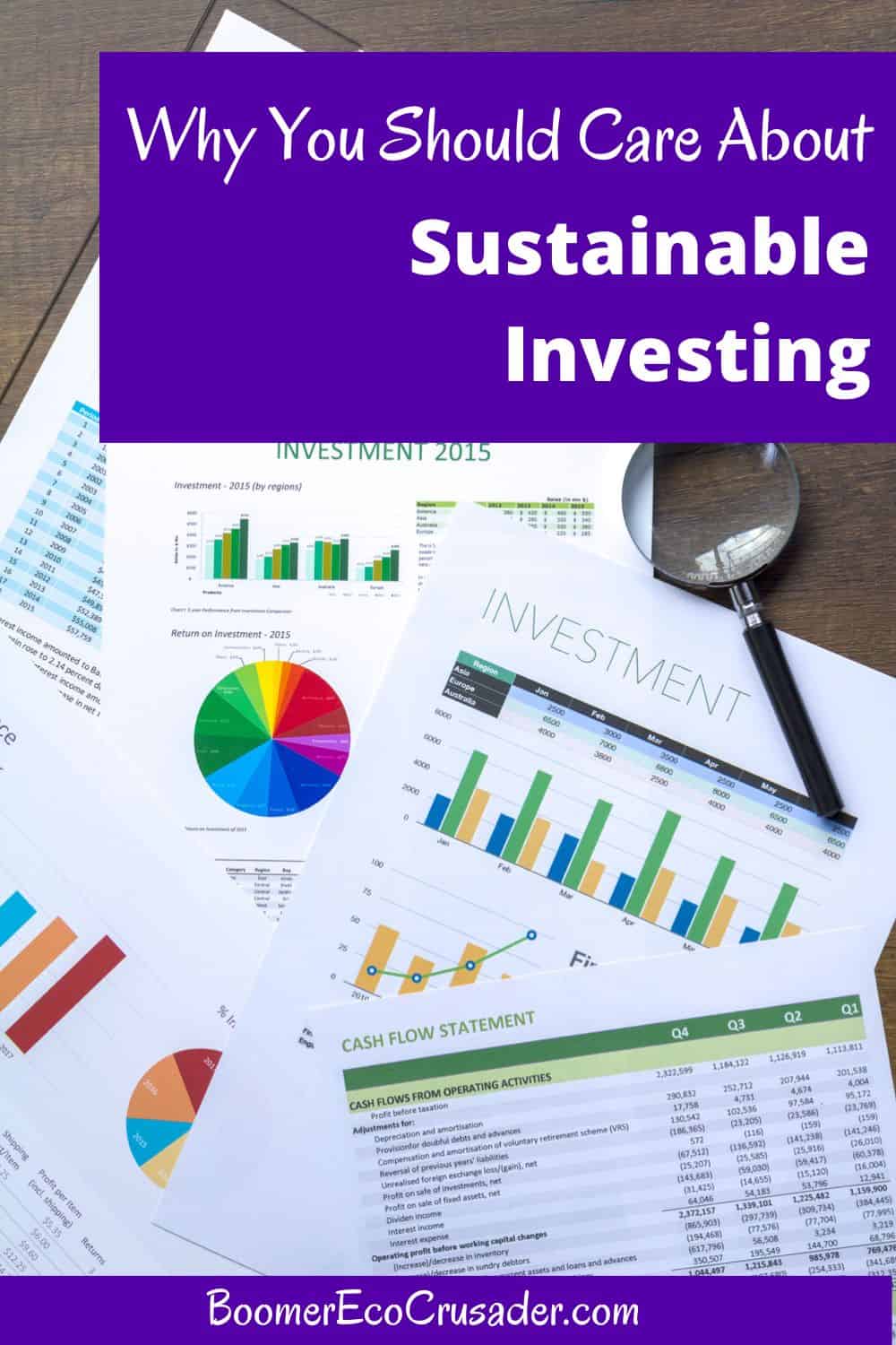 What's The Big Deal About Sustainable Investing? - Boomer Eco Crusader